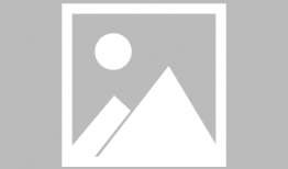 91小班直播,揭秘互动教学新风尚