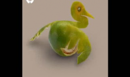 久久青草视频,一场别开生面的视频之旅